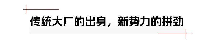 "比亚迪：在快速崛起的背后秘密是什么？"