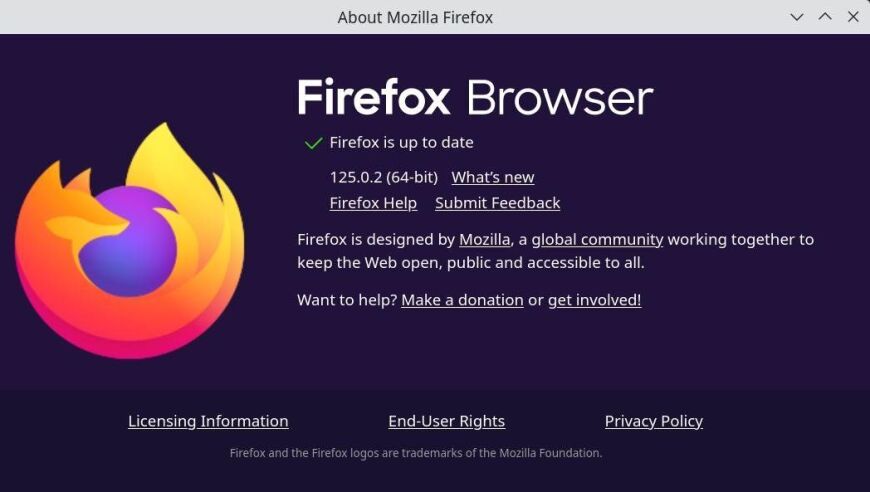 Firefox 125.0.2：安全问题引发撤回已有的安全改进措施