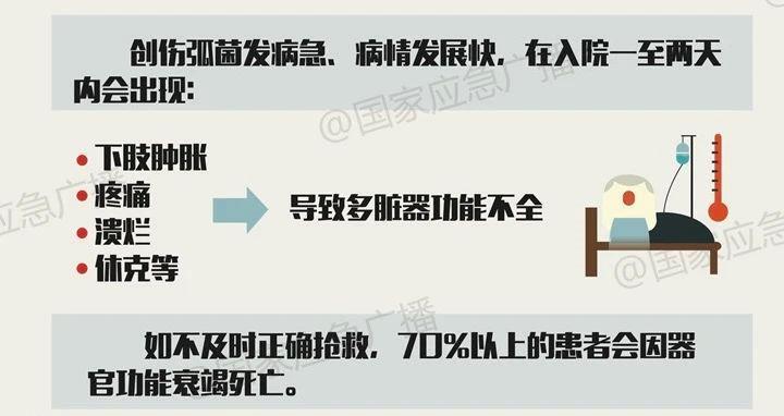 "幼童误触海鲜，可能导致截肢危险！在海洋世界中，这些小细节不能忽视"