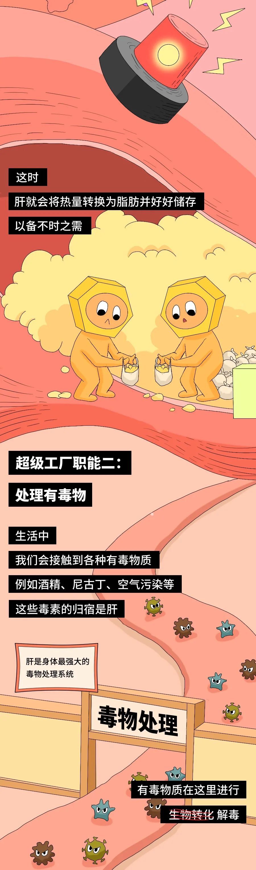 "健康警告：比熬夜更伤肝的事，你可能每天都在做"