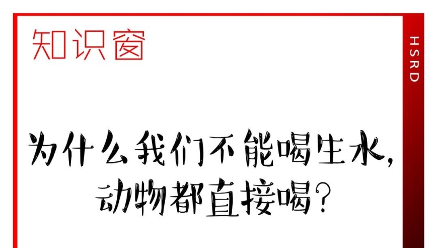 关于生水：为何动物都选择饮用而非人类？