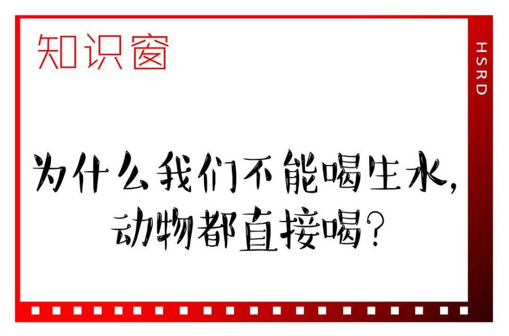 "关于生水：为何动物都选择饮用而非人类？"