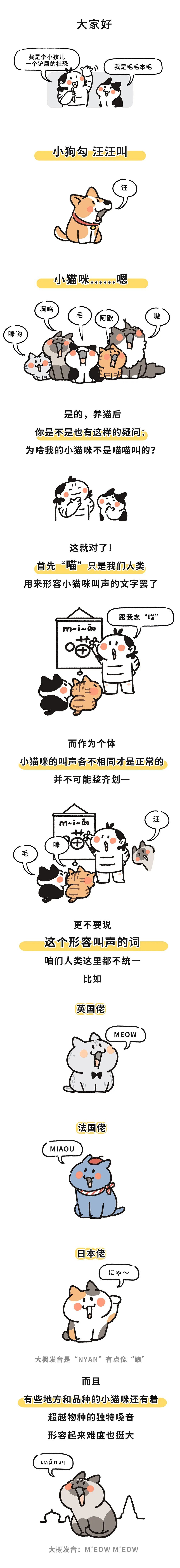 "揭秘：小猫咪并非总是在喵喵叫"