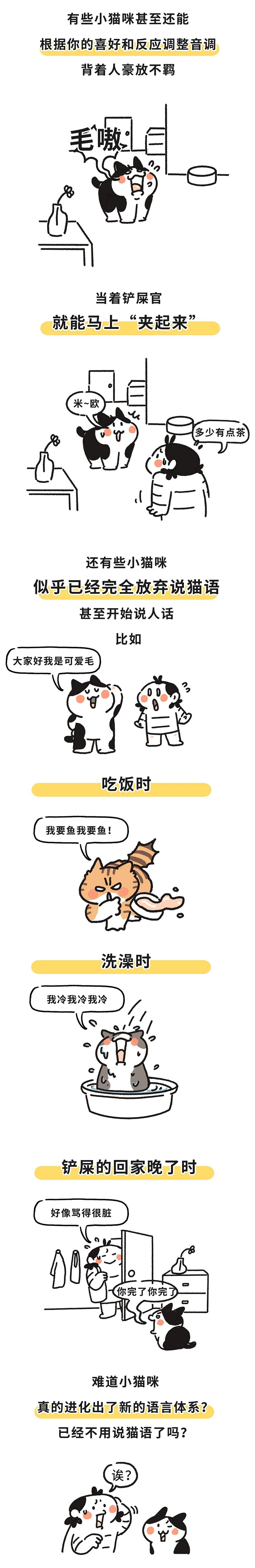 "揭秘：小猫咪并非总是在喵喵叫"