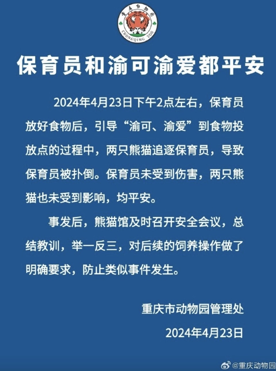 "重庆动物园：大熊猫扑倒保育员后平安，双囧熊并未受惊"