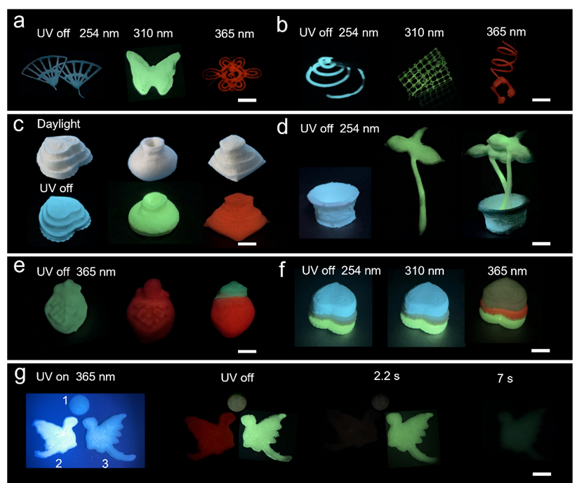 "北林彭锋教授团队的新型多功能材料：基于可食用魔芋多糖制备3D打印室温磷光材料"