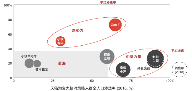 "《天猫八策略人群：从深度洞察到实战执行》——用户分层与运营策略解析"