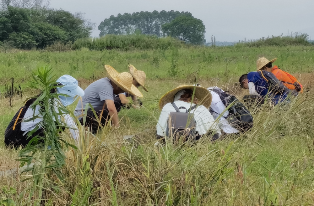 "广东地区连续30年未再发现本土新增血吸虫病病例！这一成就值得庆祝"