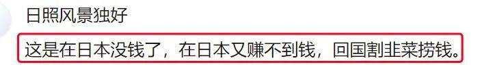 "蒙嘉慧日本隐居照曝光，劈柴做农活，引发争议的郑伊健夫妇"

"日本隐居照再现：劈柴做农活的蒙嘉慧与神秘男子郑伊健引发热议?"