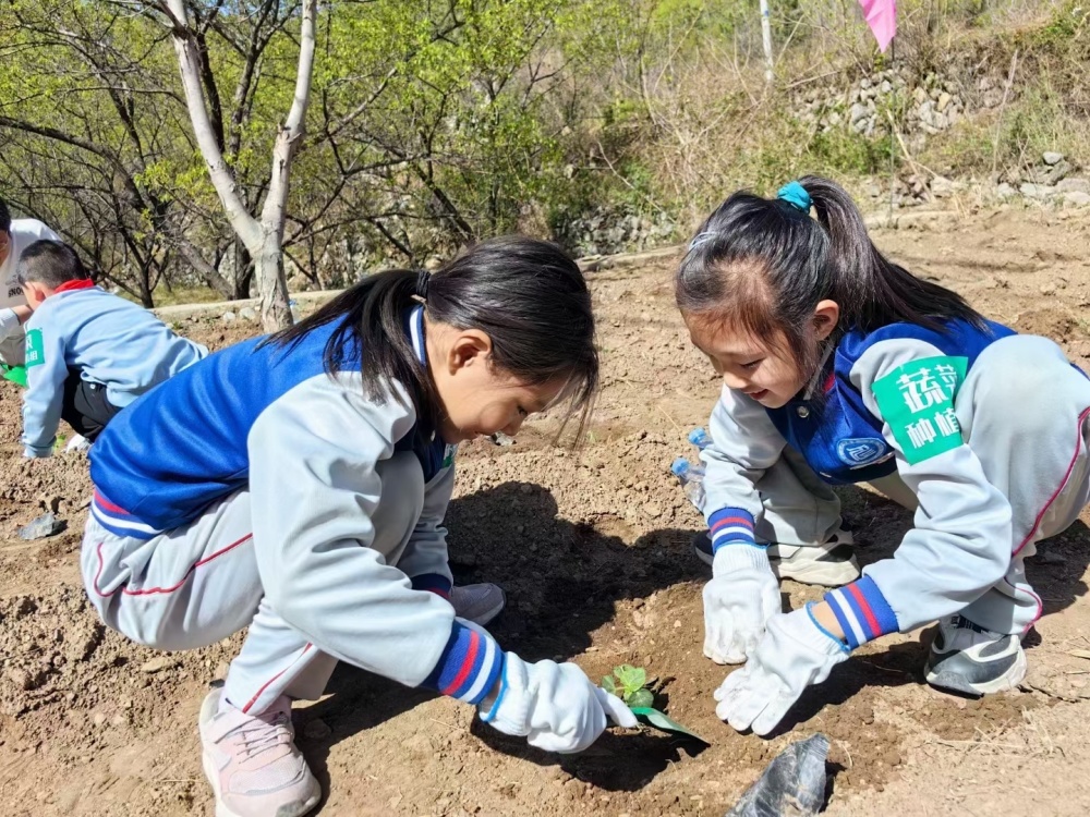 "孩子的种子：助力门头沟清水花谷的重建之路"