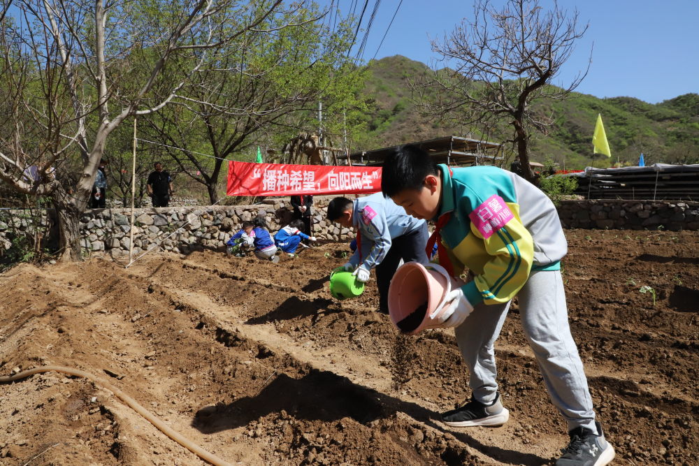 "孩子的种子：助力门头沟清水花谷的重建之路"