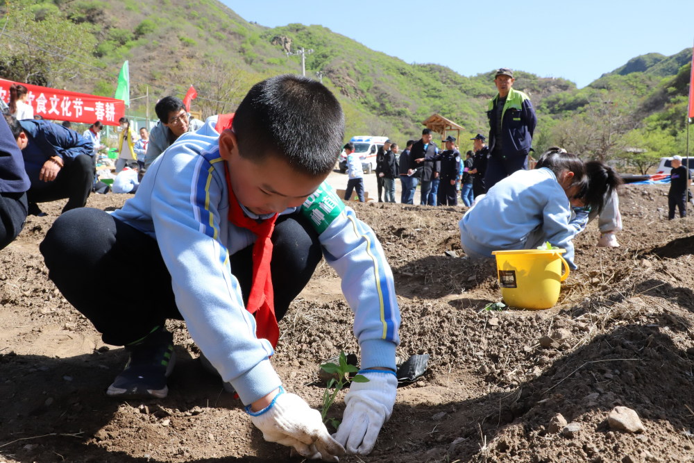 "孩子的种子：助力门头沟清水花谷的重建之路"