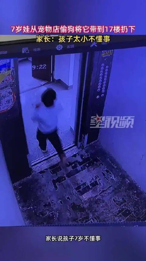 "监控曝光：男孩偷走宠物店小狗，大人追责不果：孩子年龄太小犯下大错"