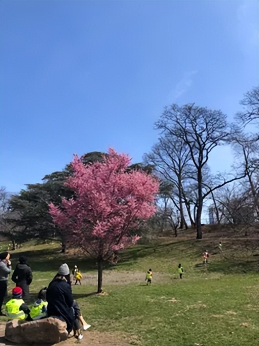 "90后新世代，新时代下抢夺月嫂市场的新鲜力量"