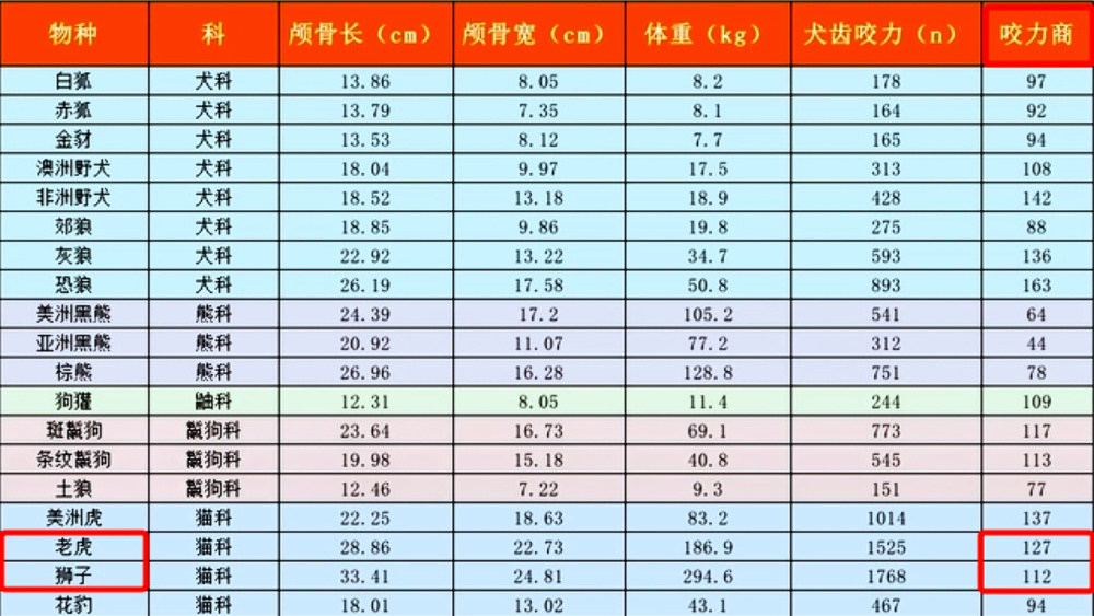 "呆萌熊猫重庆渝可渝爱扑倒在母乳中，震惊全场游客争相尖叫"