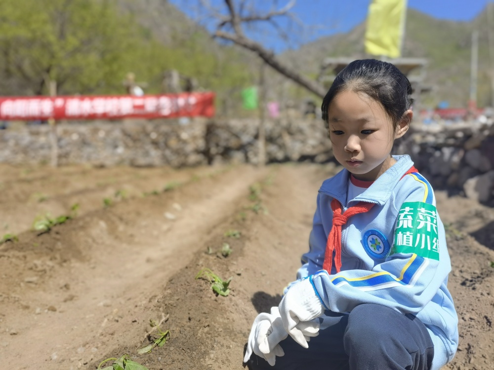 "京西山村举办春耕节，城乡孩子手牵手共赴田野播种希望"