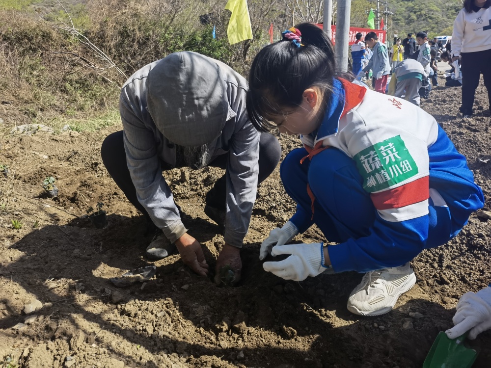 "京西山村举办春耕节，城乡孩子手牵手共赴田野播种希望"