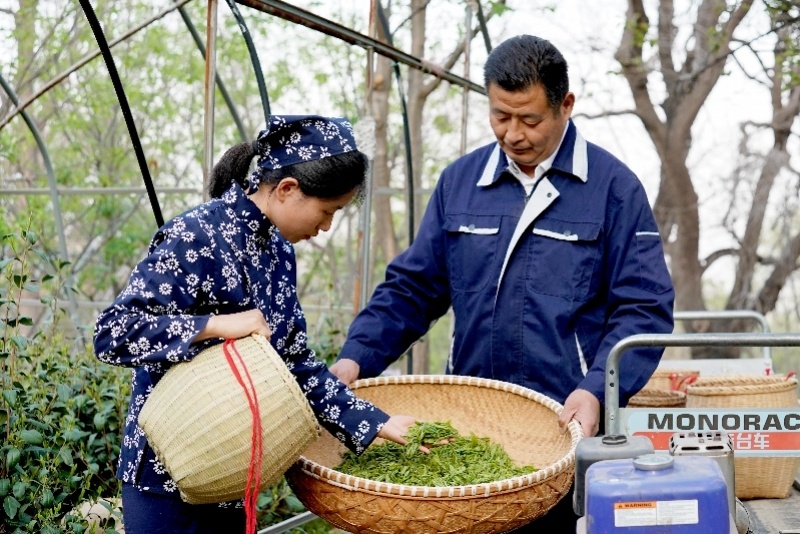 "季度数据为何呈现背离？解读个人所得税变化原因"