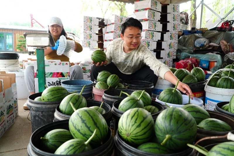 "季度数据为何呈现背离？解读个人所得税变化原因"