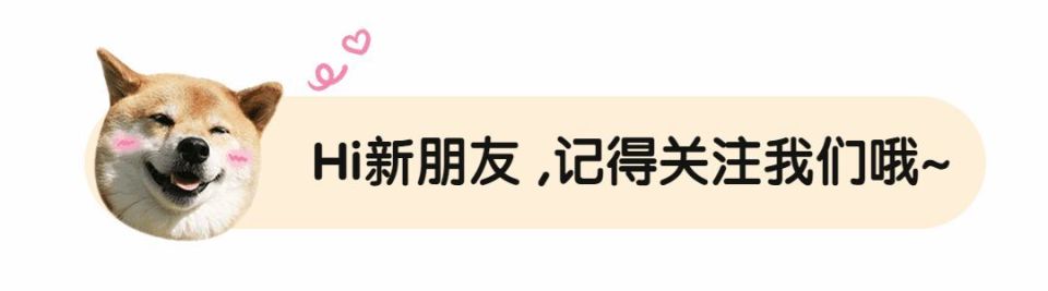 "斗二CP剧情调整与网友反响：女性角色的数量下降，男性形象变得更加坚毅"