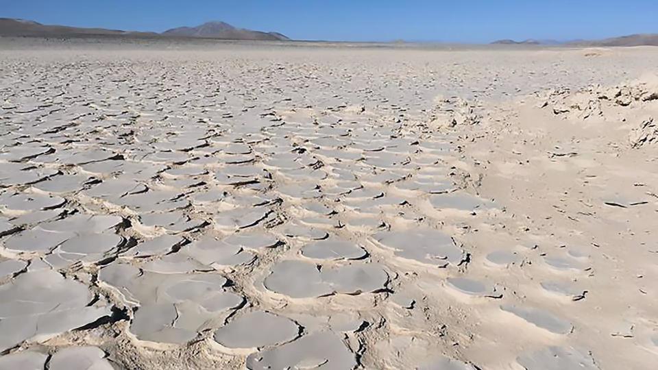 "发掘19000年前神秘火星生物圈：古老地球生命的延续迹象揭示"