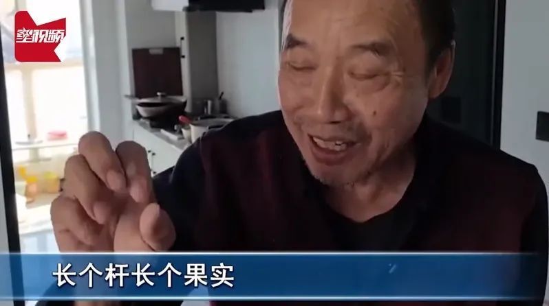 "人参泡酒15年后真的复活了吗？专家对此给出最新解读"