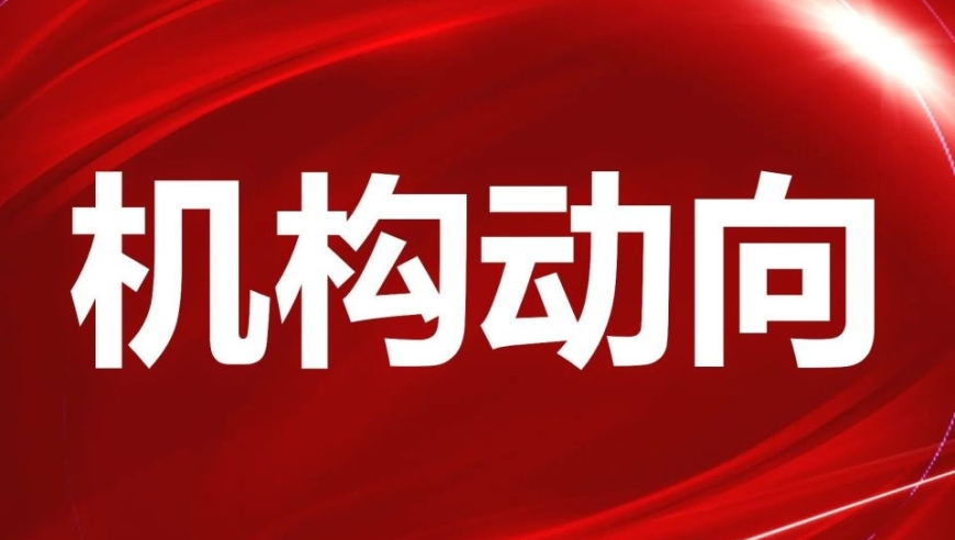 海量分析：揭秘人工智能和低空经济板块的最新动态，全面挖掘行业动向与投资机会!