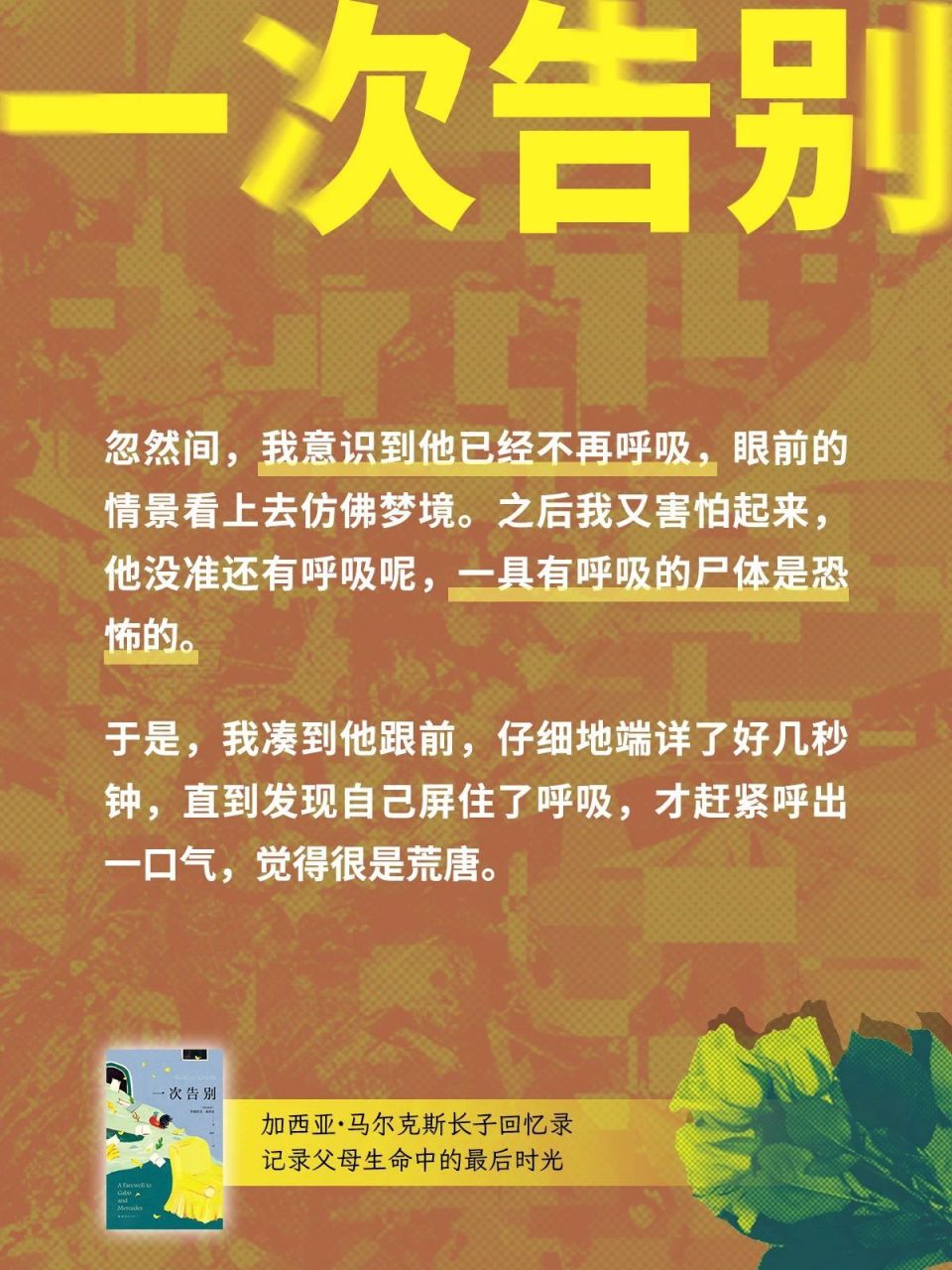 "应对马尔克斯的痛苦，迎接挑战的失败：一次个人经历的总结与反思"