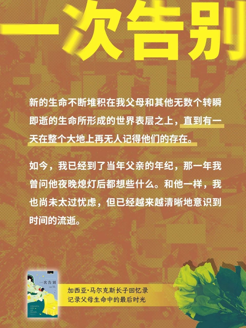 "应对马尔克斯的痛苦，迎接挑战的失败：一次个人经历的总结与反思"