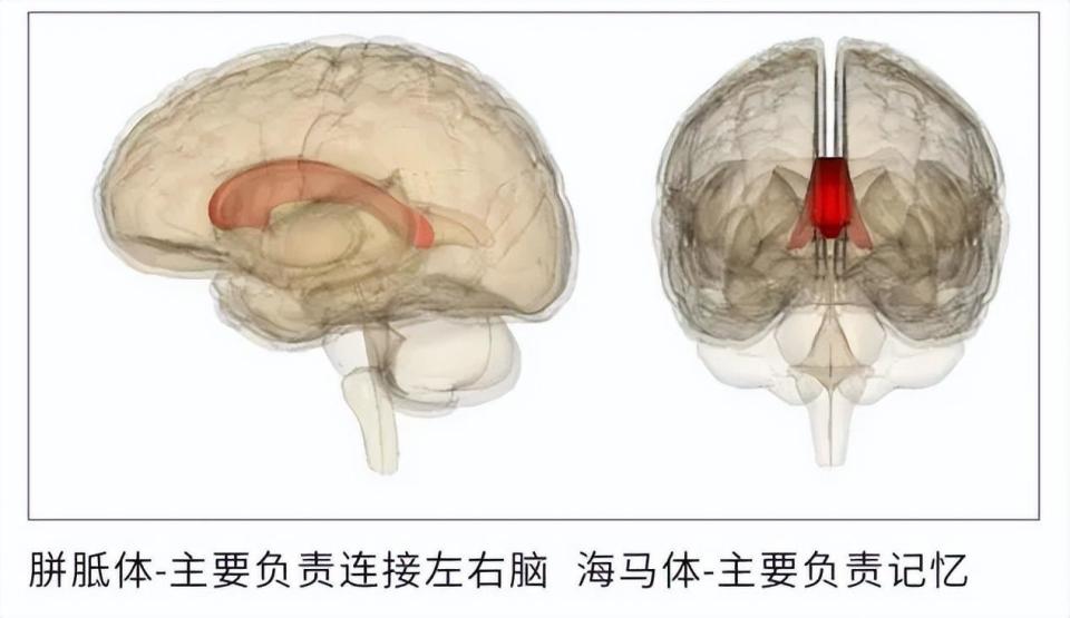 "引导孩子发掘自身灵性，家长如何培养有生命力的孩子?"