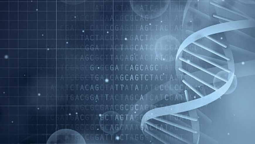 未受基因突变影响的癌症：新的科学研究揭示可能性