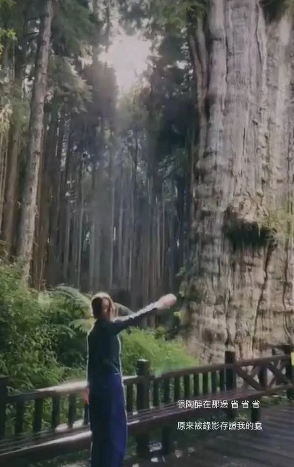 "田馥甄赴内地定居，探讨众多台湾艺人为何选择定居北京"