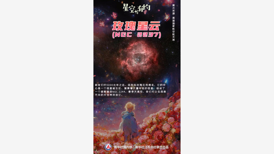 赏星踏月，春天的星辰璀璨之谜——繁花似锦的星空