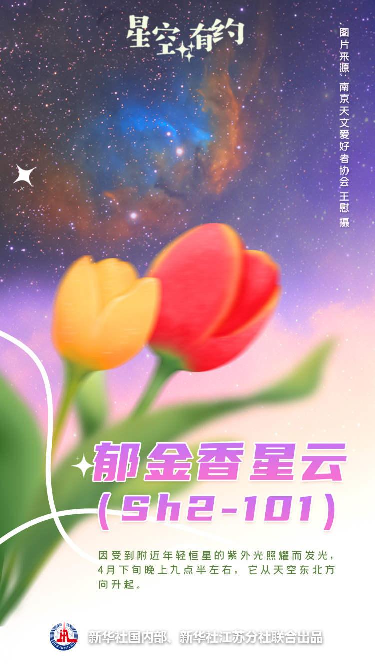 "赏星踏月，春天的星辰璀璨之谜——繁花似锦的星空"