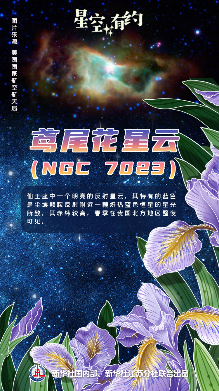 "赏星踏月，春天的星辰璀璨之谜——繁花似锦的星空"