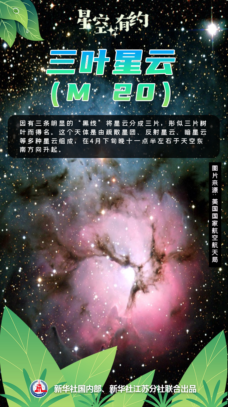 "赏星踏月，春天的星辰璀璨之谜——繁花似锦的星空"