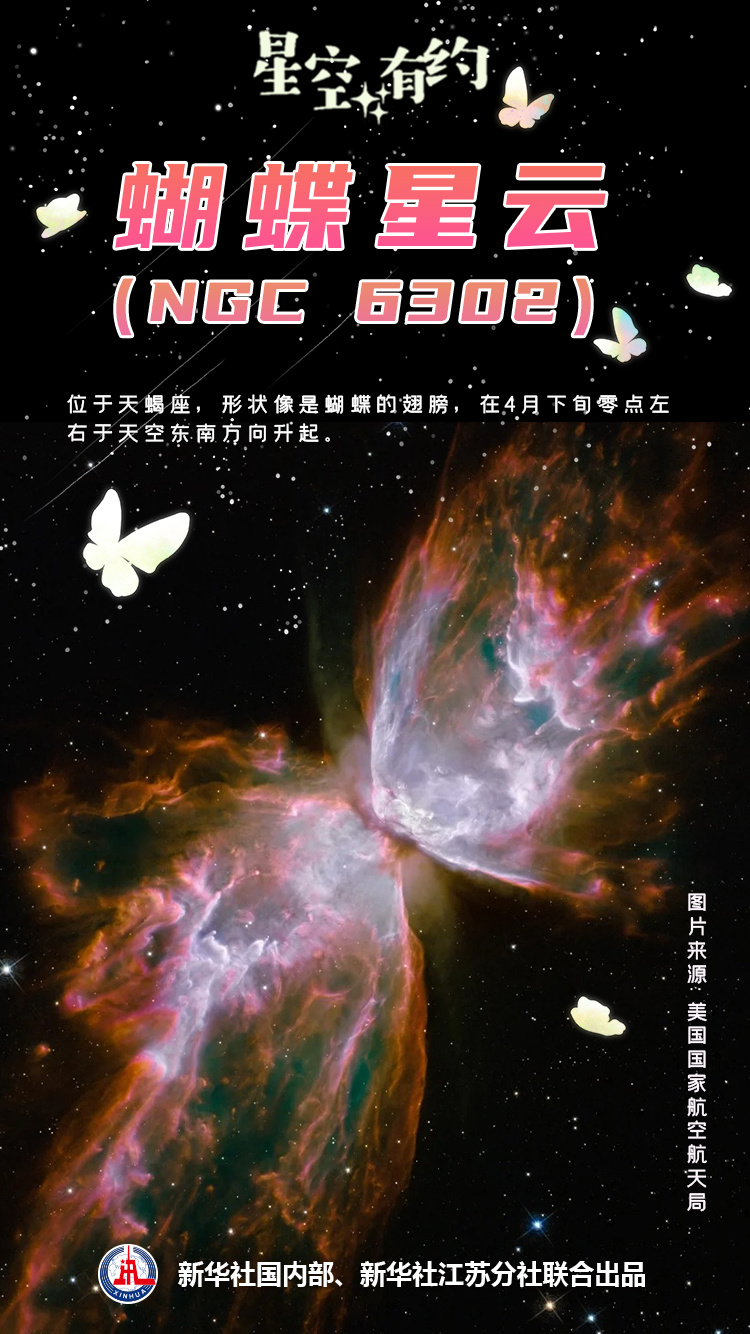 "赏星踏月，春天的星辰璀璨之谜——繁花似锦的星空"