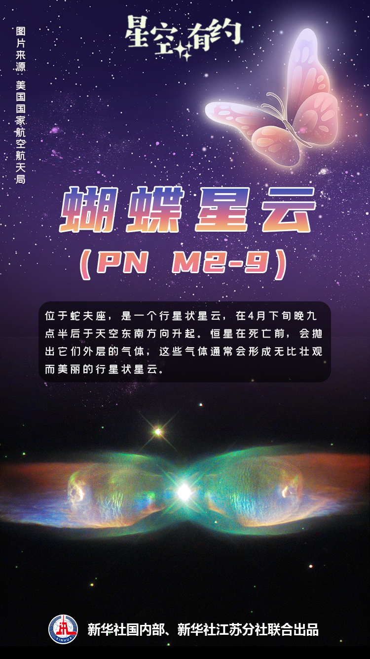 "赏星踏月，春天的星辰璀璨之谜——繁花似锦的星空"