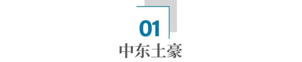 "中东富豪为什么在短短一年内对中国投资2000亿元？揭秘其背后的商业逻辑与机遇"