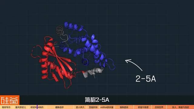 "神奇的药物：挽救全球数百万人生命的关键角色——揭秘‘mRNA疯女人’及她的非凡成就"