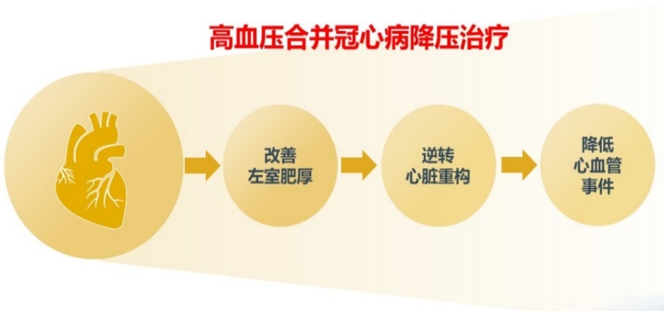 "关于高血压和冠心病的医疗问题：降低血压至130/80mmHg以下的必要性"