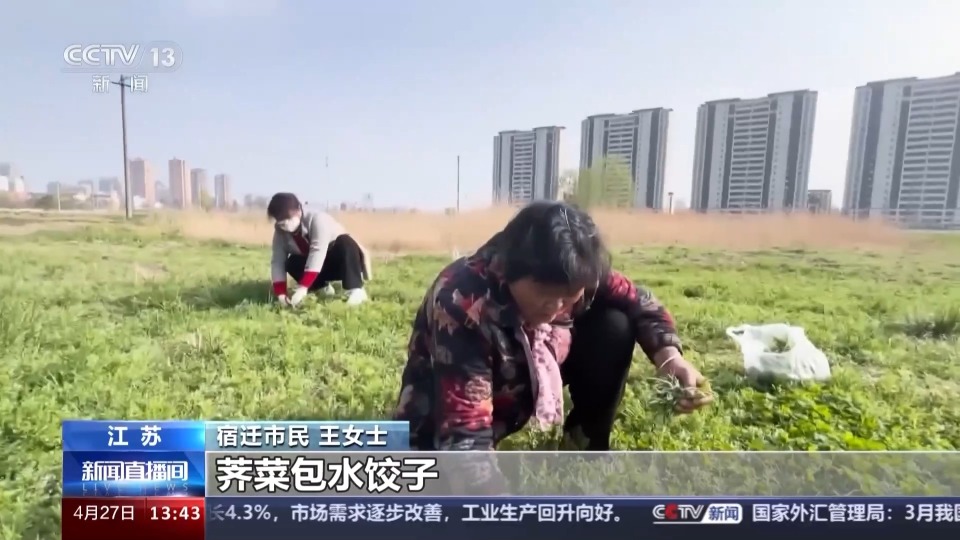 "一周吃荠菜导致呕吐，慎防吃“险”食物"