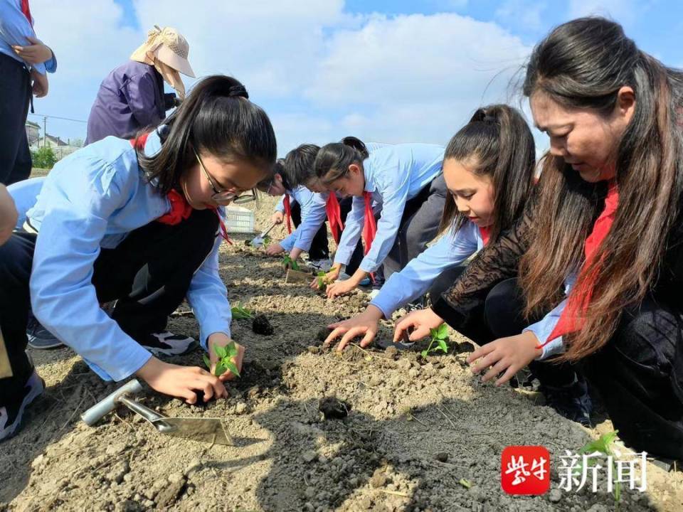 "成功播种太空种子：东小学将航天梦深深植根于小朋友们心中"