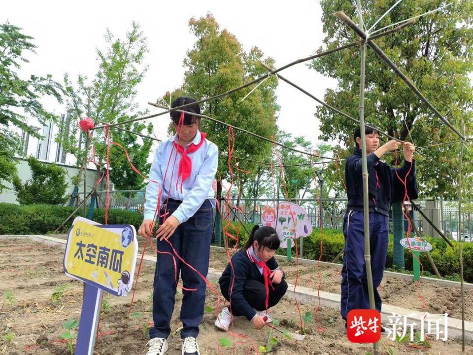 "成功播种太空种子：东小学将航天梦深深植根于小朋友们心中"