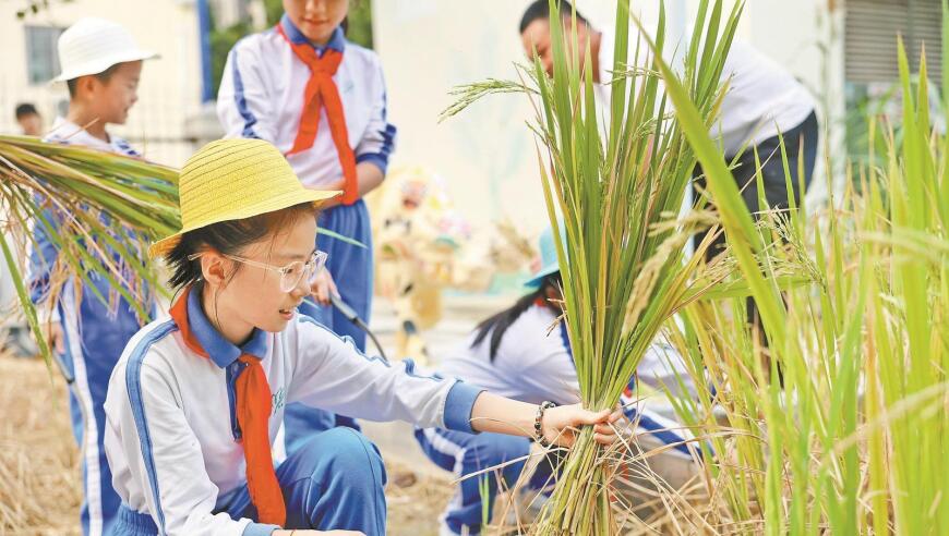 透过虚拟农场，让孩子体验劳动的乐趣——晶报特别报道：‘农场’里的多彩劳动课