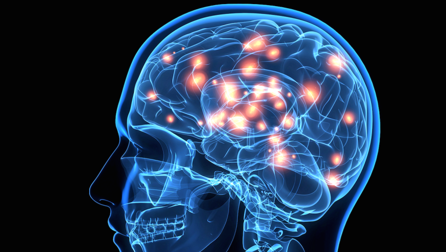 世界首次：复旦科学家揭示永生密码，运用MEDY冷冻剂使脑部永久保存并恢复生命活动