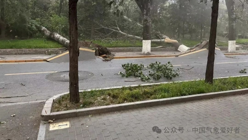 罕见的暴雨天气：北京等地为何狂风骤雨如此猛烈？

或者

特大暴雨突袭北京：疯狂的风和雨如何引发这次灾害？