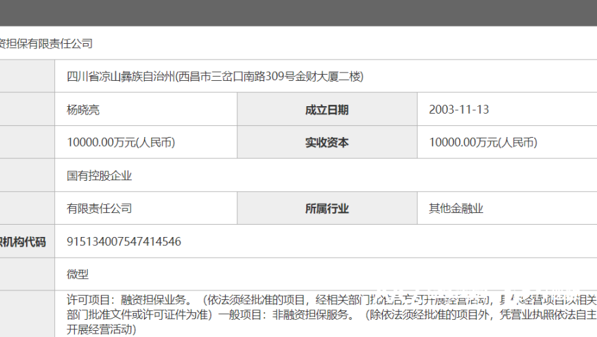 退金令下：金融业结构调整与国有企业的转型探索