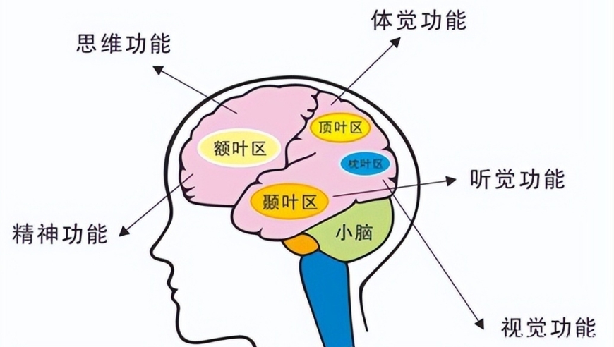 心理解析：让孩子学不下去的五大原因及改善策略