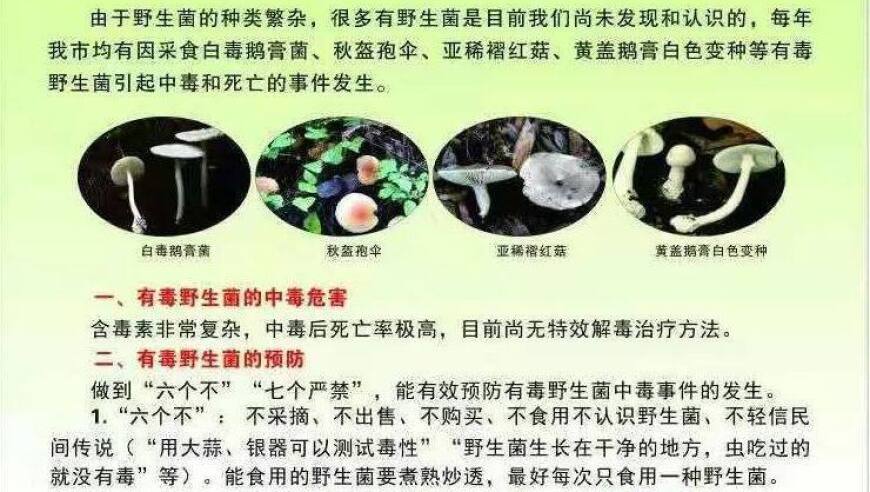 食用菌安全须知：为了健康，请务必牢记这4点